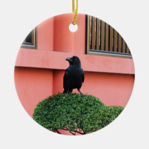 Ornamento De Cerâmica Um corvo Grande-Faturado da selva uma vara em uma