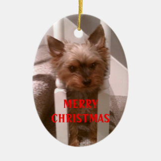 Ornamento De Cerâmica Um Natal alegre de Yorkie