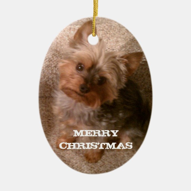 Ornamento De Cerâmica Um Natal alegre de Yorkie (Frente)