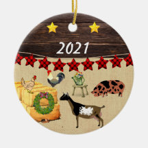 Um País de Natal KuneKune e Goat