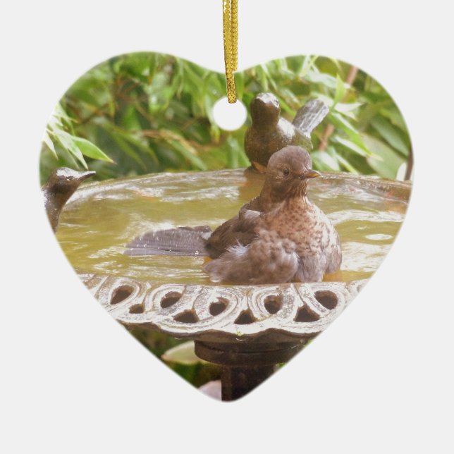 Ornamento De Cerâmica Um Pássaro Na Banheira (Frente)