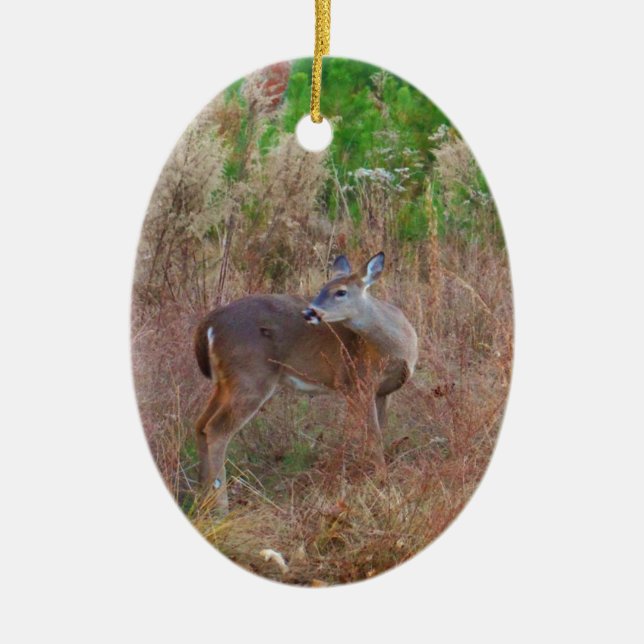 Ornamento De Cerâmica Um veado na grama alta (Frente)
