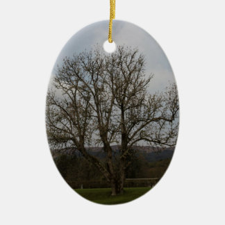 Ornamento De Cerâmica Uma árvore velha no meio do campo de jogos e do