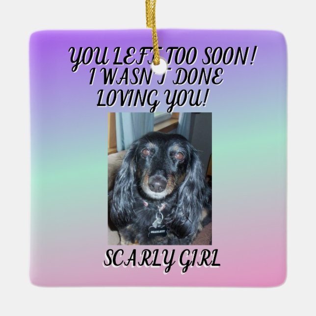 Ornamento De Cerâmica Uma Homenagem ao Amor Incondicional do Pet 1 foto (Frente)