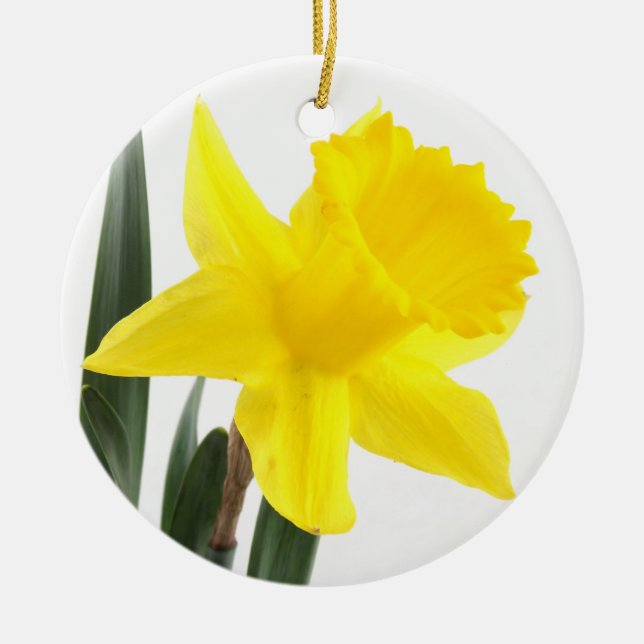 Ornamento De Cerâmica Único Daffodil amarelo do narciso (Frente)