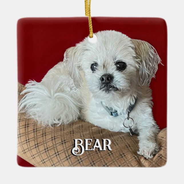 Ornamento De Cerâmica Ursa o Relaxamento Malshi (Frente)