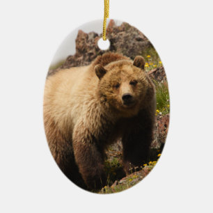Ornamento De Cerâmica urso