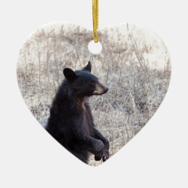 Ornamento De Cerâmica Urso Cub preto (Frente)