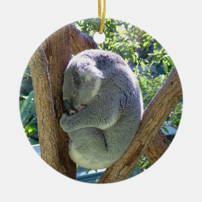 Ornamento De Cerâmica Urso de Koala (Frente)