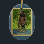 Ornamento De Cerâmica Urso de Viagens vintage do Parque Nacional da olim<br><div class="desc">Olimpiadas de ornamento viagens vintage do Parque Nacional,  com uma imagem de um urso preto sobre as pernas traseiras,  olhando para a floresta verde.</div>