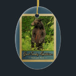 Ornamento De Cerâmica Urso do Parque Nacional das Montanhas do Enfumaçad<br><div class="desc">Enfumaçado de ornamento viagens vintage Montanhas do Parque Nacional,  com uma imagem de um urso preto sobre as pernas traseiras,  olhando para a floresta verde.</div>