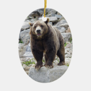 Ornamento De Cerâmica Urso Kodiak em Pé sobre uma Rocha