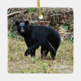 Ornamento De Cerâmica Urso Preto da Flórida