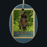 Ornamento De Cerâmica Urso Vintage do Parque Nacional Yellowstone<br><div class="desc">Ornamento viagens vintage Yellowstone National Park,  imagem com um urso preto sobre as pernas traseiras,  olhando para a floresta verde.</div>