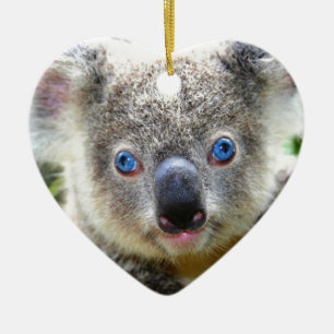 Ornamento De Cerâmica Ursos de Koala