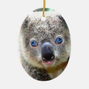 Ornamento De Cerâmica Ursos de Koala
