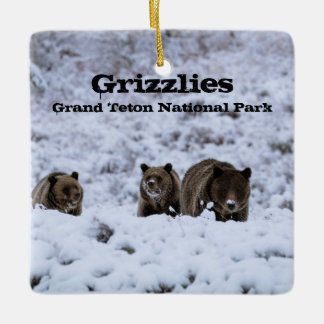 Ornamento De Cerâmica Ursos Grizzly no Parque Nacional de Snow Grand Tet