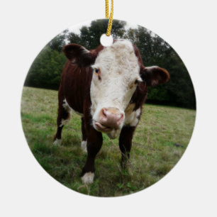 Ornamento De Cerâmica Vaca de Hereford que cola para fora a língua