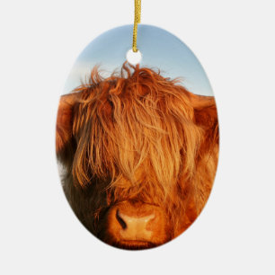Ornamento De Cerâmica Vaca escocesa das montanhas - Scotland