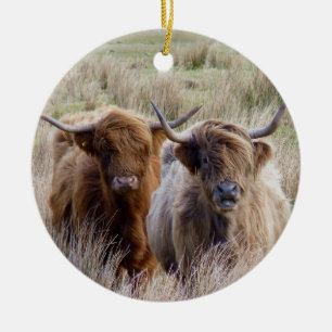 Ornamento De Cerâmica Vacas Terrestres da Escócia