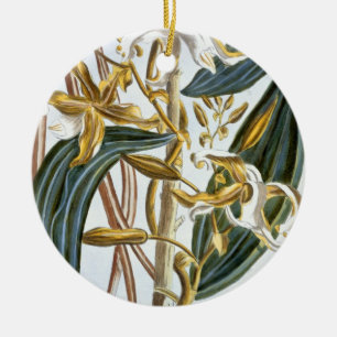 Ornamento De Cerâmica Vagens da baunilha, placa 65, 'da coleção