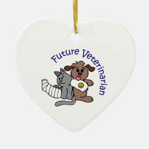 ORNAMENTO DE CERÂMICA VETERINÁRIO FUTURO