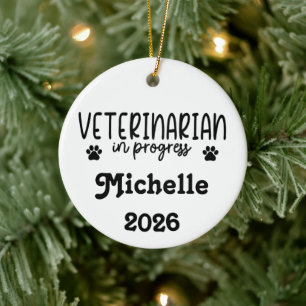 Ornamento De Cerâmica Veterinário Personalizado Em Andamento