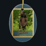 Ornamento De Cerâmica Viagens vintage do Urso do Parque Nacional Glaciar<br><div class="desc">Ornamento de viagens vintage,  imagem do Parque Nacional Glacier,  com um urso preto sobre as patas traseiras,  olhando para a floresta verde.</div>