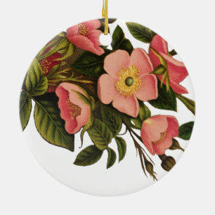 Ornamento De Cerâmica Vintage Rosas Belos Botânicos Rosa