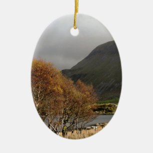 ORNAMENTO DE CERÂMICA VISTAS DE WALES