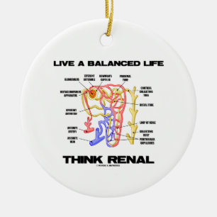 Ornamento De Cerâmica Vive uma vida equilibrada pensa renal (Nephron)