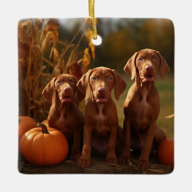 Ornamento De Cerâmica Vizsla Puppy Autumn Delight Pumpkin (Frente)