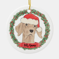 Vizsla Viszla Personalizada