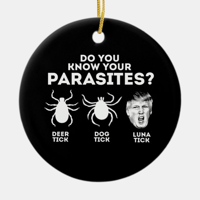 ORNAMENTO DE CERÂMICA VOCÊ CONHECE SEUS PARASITAS? (Frente)