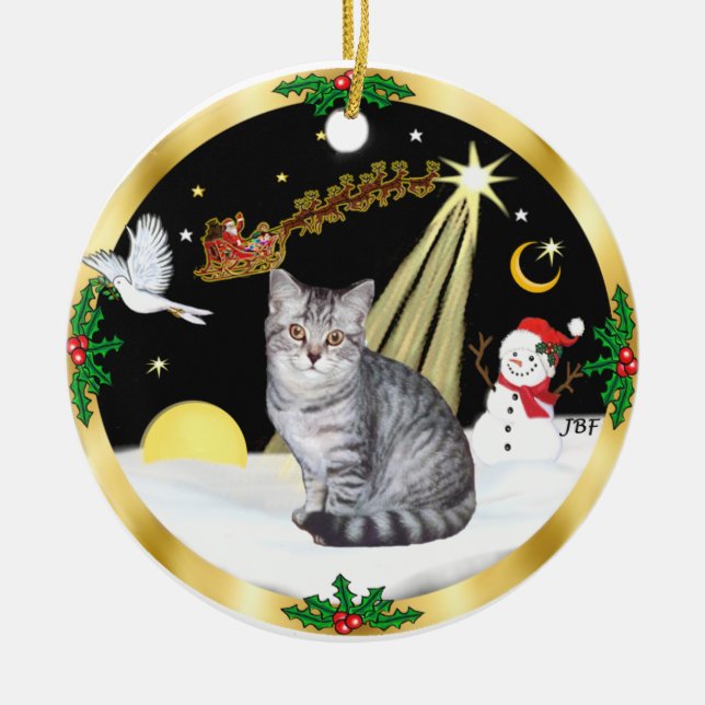 Ornamento De Cerâmica Voo Noturno (GW) - Gato Tabby Prateado (Frente)
