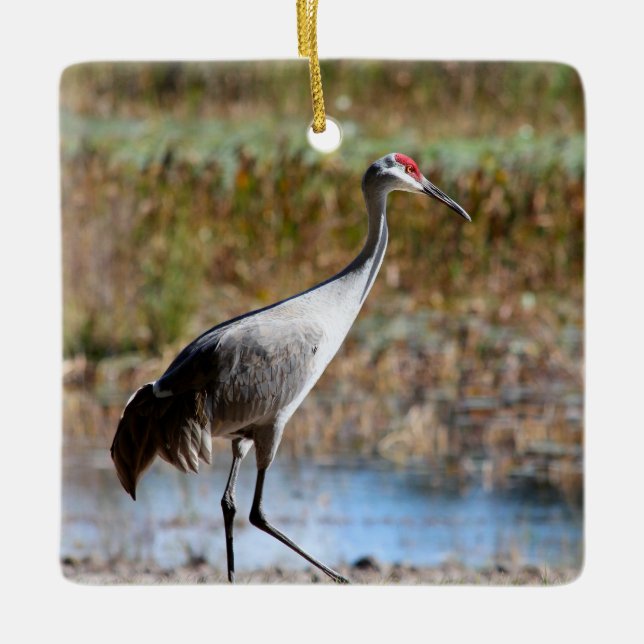 Ornamento De Cerâmica Walking Tall, Sandhill Crane (Frente)