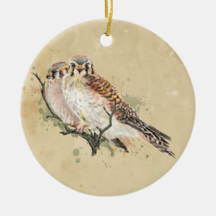 Ornamento De Cerâmica Watercolor American Kestrel, Falcon Bird Casal