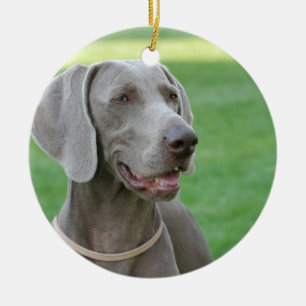 Ornamento De Cerâmica Weimaraner