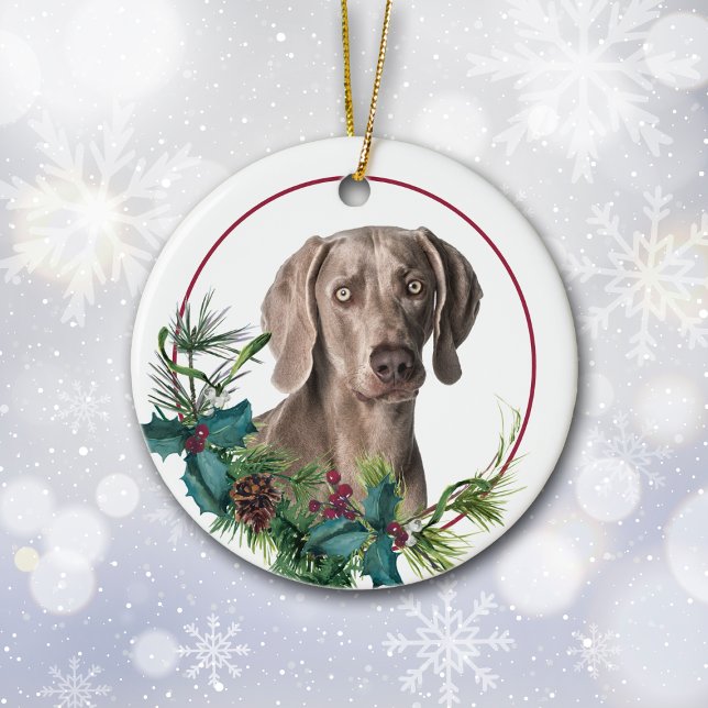 Ornamento De Cerâmica Weimaraner Dog Evergreen Berry Wreath (Criador carregado)
