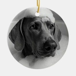 Ornamento De Cerâmica Weimaraner no banho com bolhas na cabeça