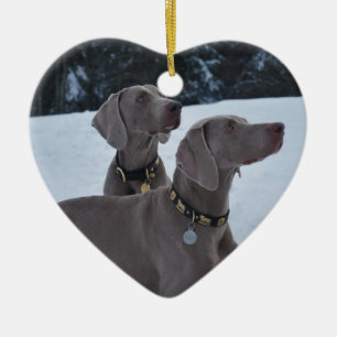 Ornamento De Cerâmica Weimeraner na neve