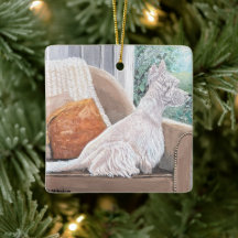 Westin Olhando uma janela