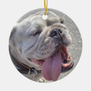 Ornamento De Cerâmica White Buldog Feliz