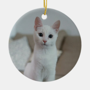 Ornamento De Cerâmica White cat Zazzle_Growshop.