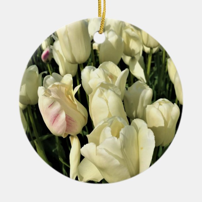 Ornamento De Cerâmica White Tulips, Oregon (Frente)