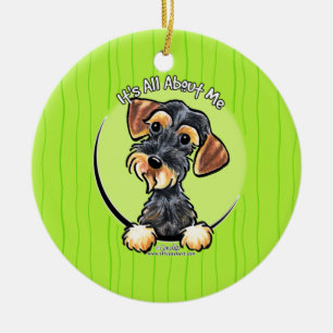Ornamento De Cerâmica Wild Boar Wirehaired Dachshund IAAM