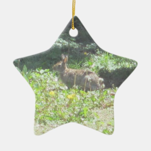Ornamento De Cerâmica Wild Bunny Ornament (Frente)