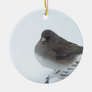 Ornamento De Cerâmica Winter Junco