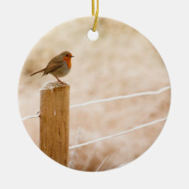 Ornamento De Cerâmica Winter Robin Redbreast