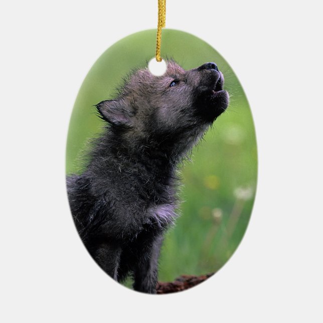 Ornamento De Cerâmica Wolf Cub Howling (Frente)